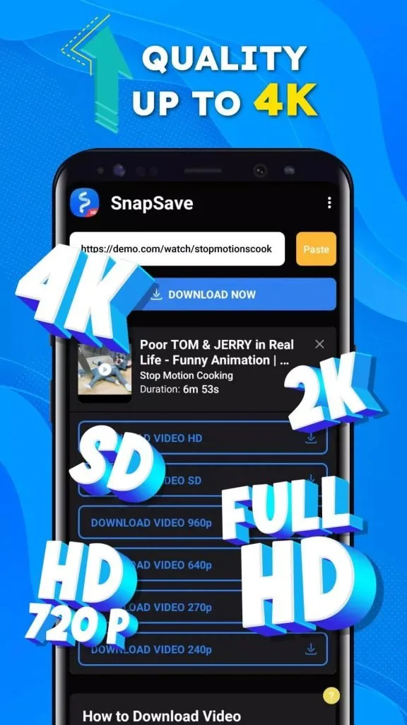 SnapSave (Versión española)